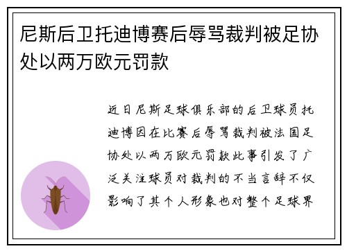 尼斯后卫托迪博赛后辱骂裁判被足协处以两万欧元罚款